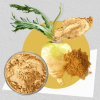 Maca Root Extract